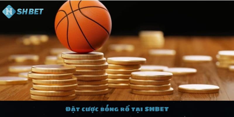 Đặt cược bóng rổ tại SHBET