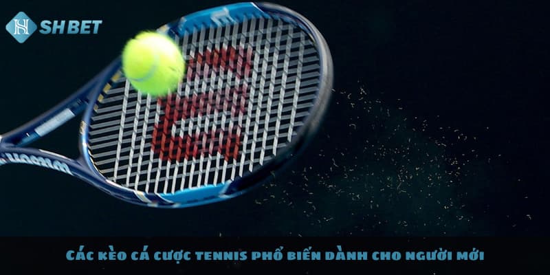 Hướng Dẫn Cá Cược Tennis Chi Tiết Nhất Tại SHBET